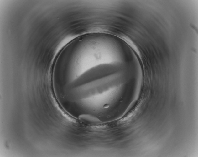 X0000098221053200804241339