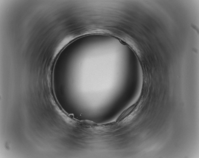 X0000098221054200804241339