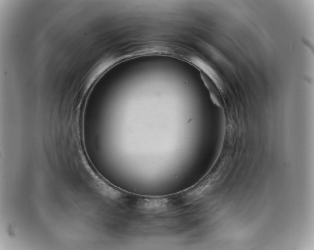 X0000098221055200804241339