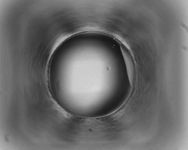 X0000098221056200804241339