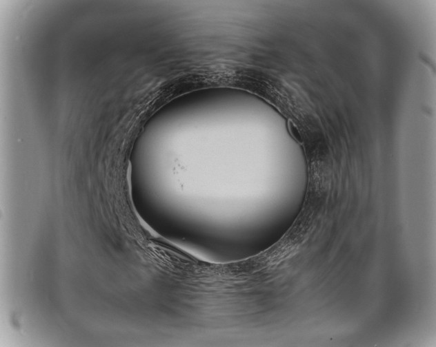 X0000098221057200804241339