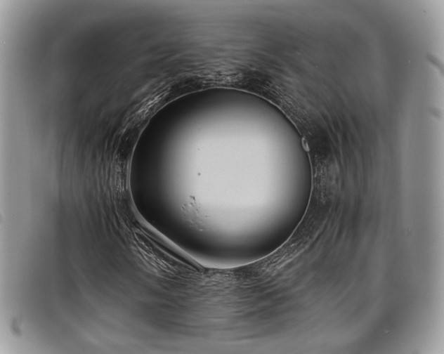 X0000098221058200804241339