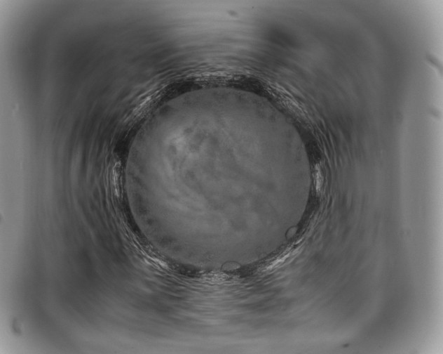 X0000098221059200804241339
