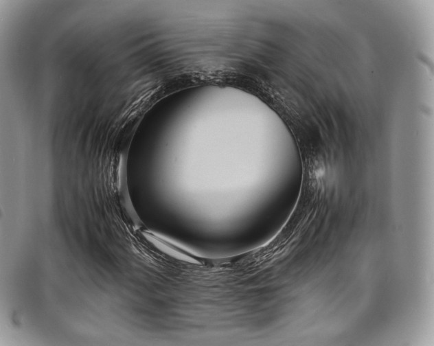 X0000098221060200804241339