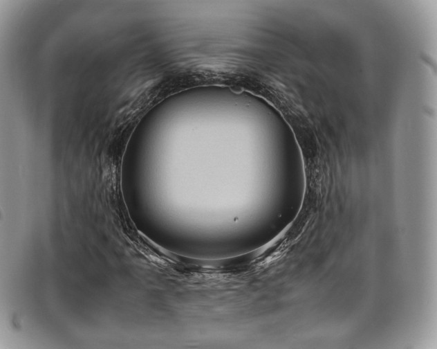 X0000098221061200804241339