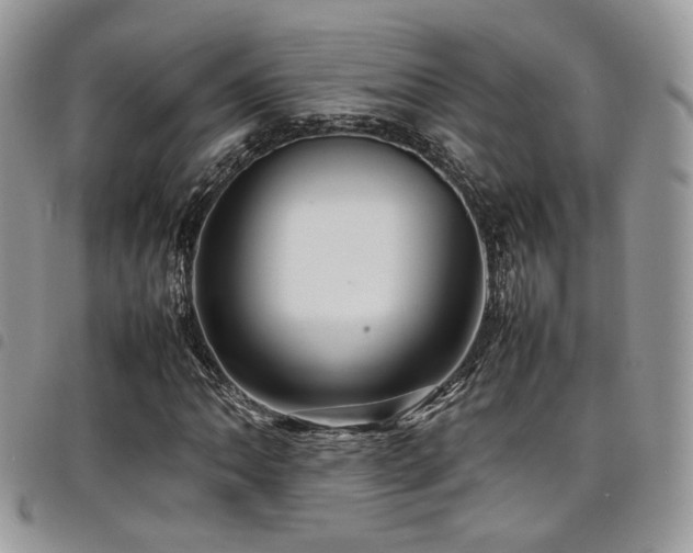 X0000098221062200804241339