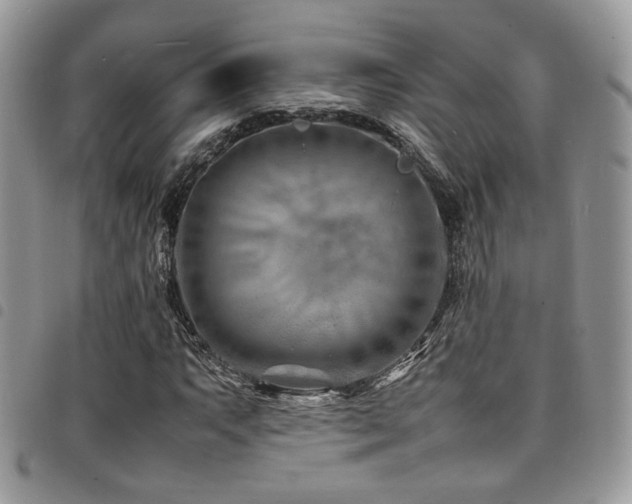 X0000098221063200804241339