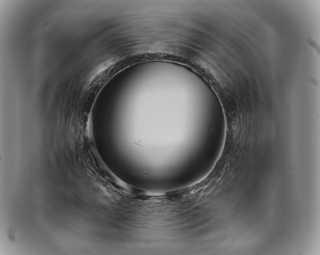 X0000098221064200804241339