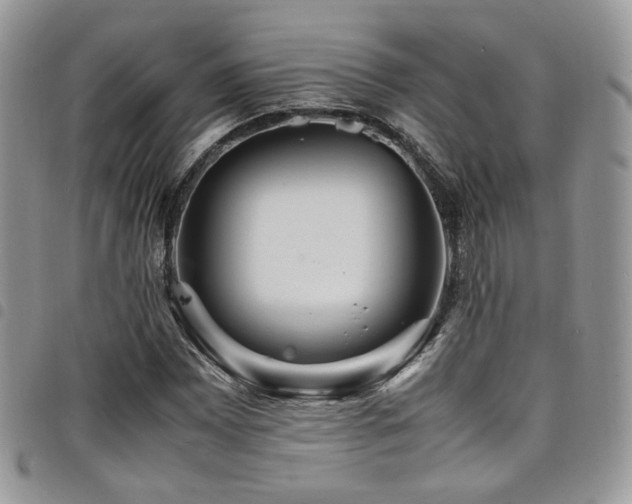 X0000098221065200804241339
