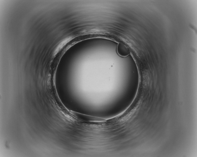 X0000098221066200804241339