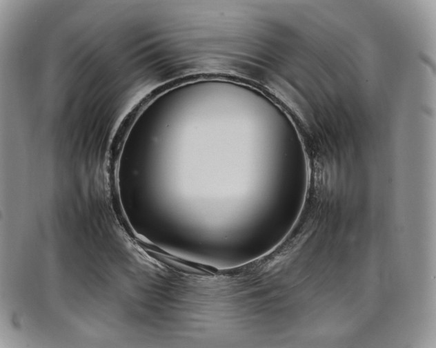 X0000098221068200804241339