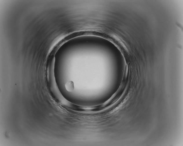 X0000098221069200804241339