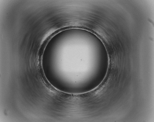 X0000098221070200804241338