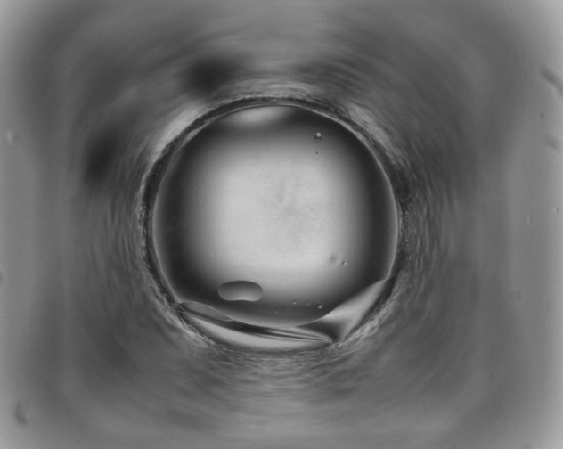 X0000098221071200804241338