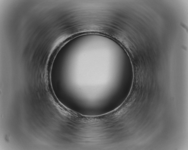X0000098221072200804241338