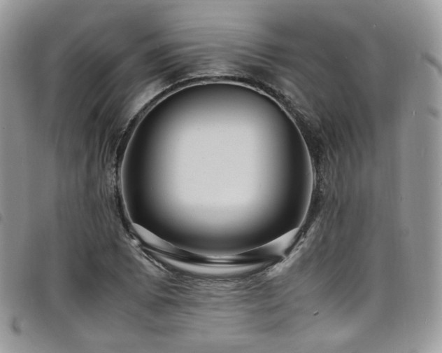X0000098221073200804241338