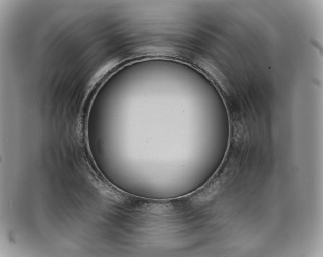 X0000098221074200804241338