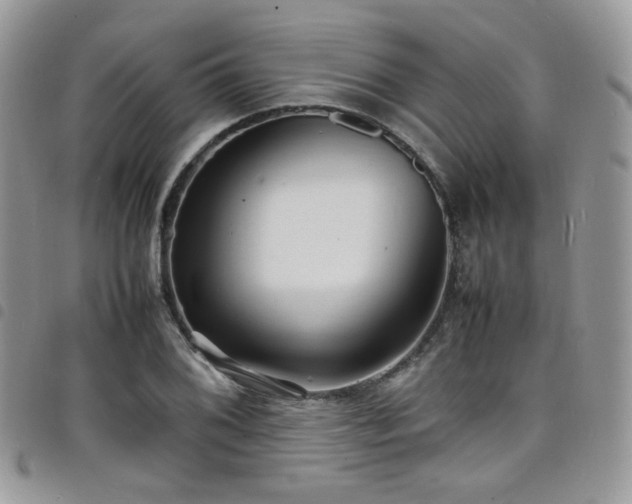 X0000098221076200804241338