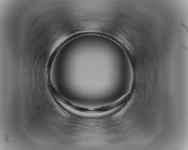 X0000098221077200804241338