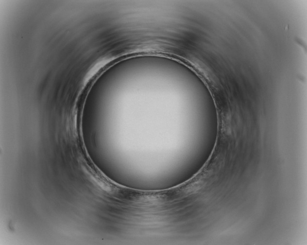 X0000098221078200804241338