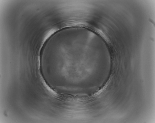 X0000098221079200804241338