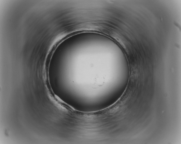 X0000098221080200804241338
