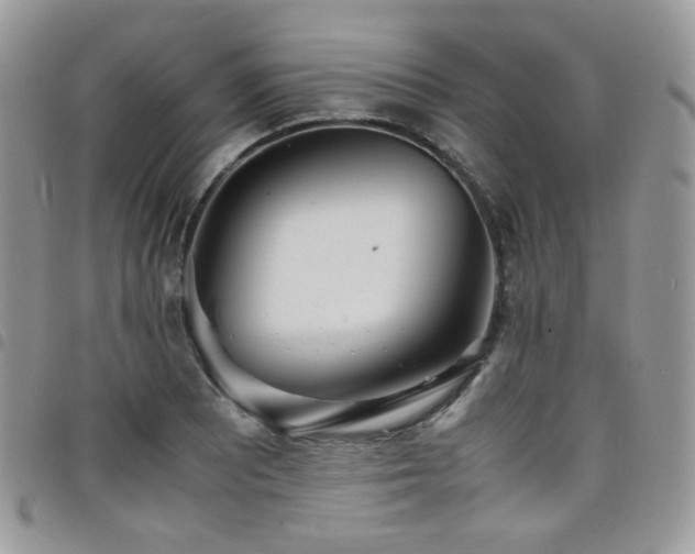 X0000098221081200804241338