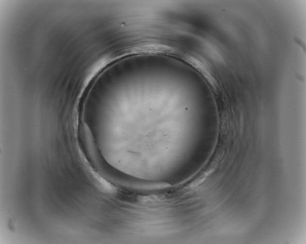 X0000098221083200804241338
