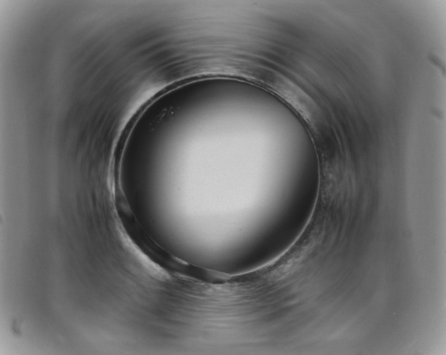 X0000098221084200804241338