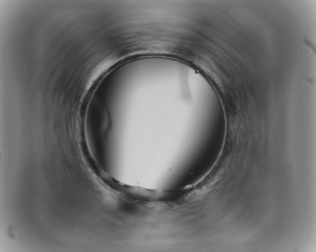 X0000098221085200804241338