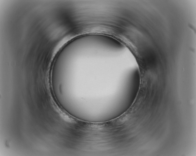 X0000098221086200804241338