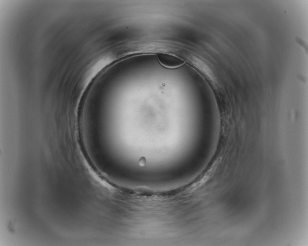 X0000098221087200804241338