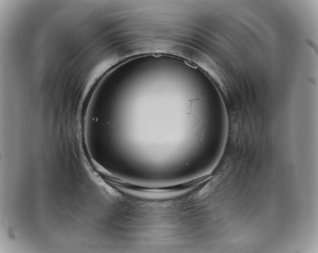 X0000098221088200804241338