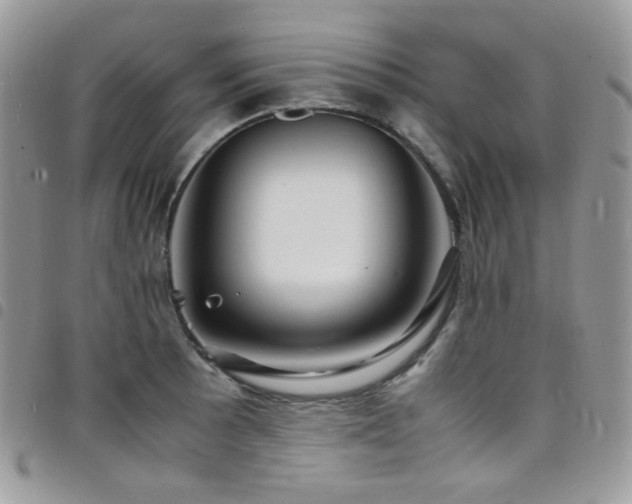 X0000098221089200804241338