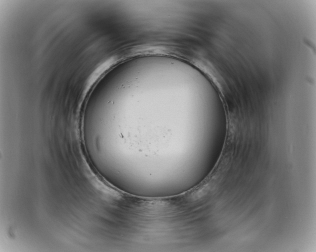 X0000098221090200804241338