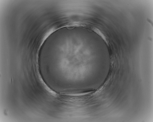 X0000098221091200804241338
