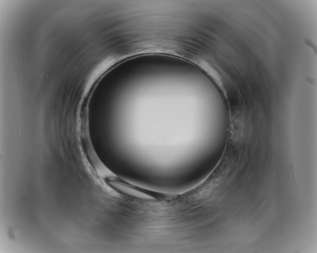 X0000098221096200804241338