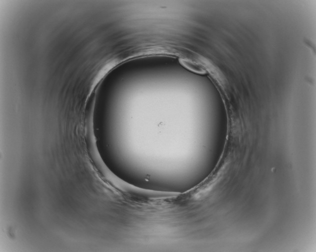 X0000098221097200804241338