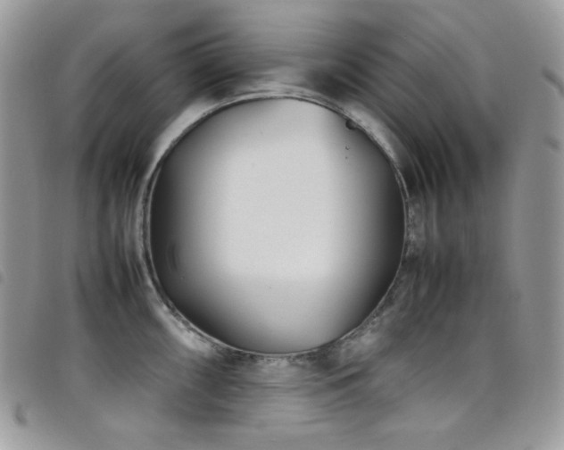 X0000098221098200804241338