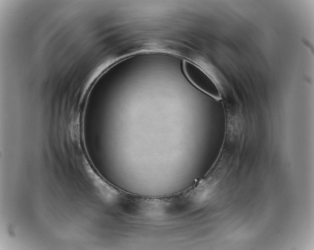 X0000098221100200804241338