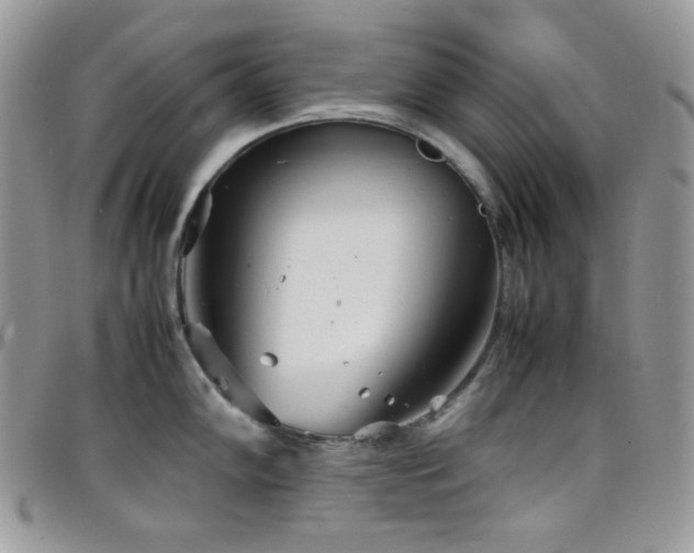 X0000098221102200804241338
