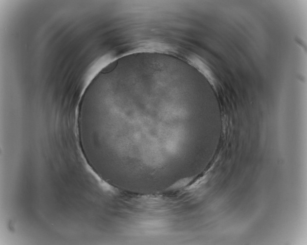 X0000098221103200804241338