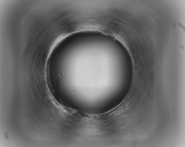 X0000098221104200804241338