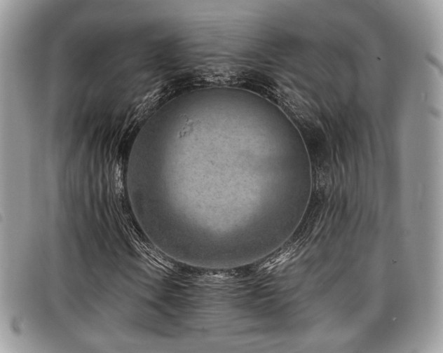 X0000098221106200804241337