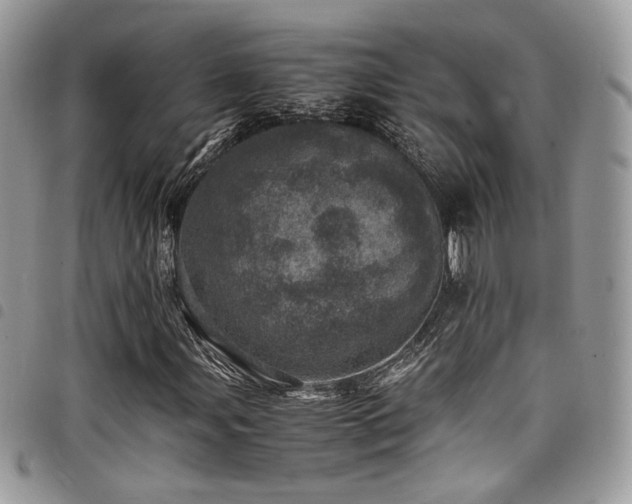 X0000098221107200804241337
