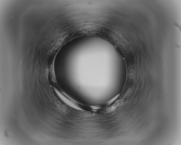 X0000098221108200804241337