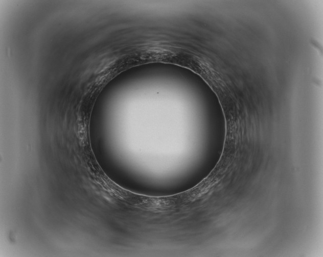X0000098221109200804241337