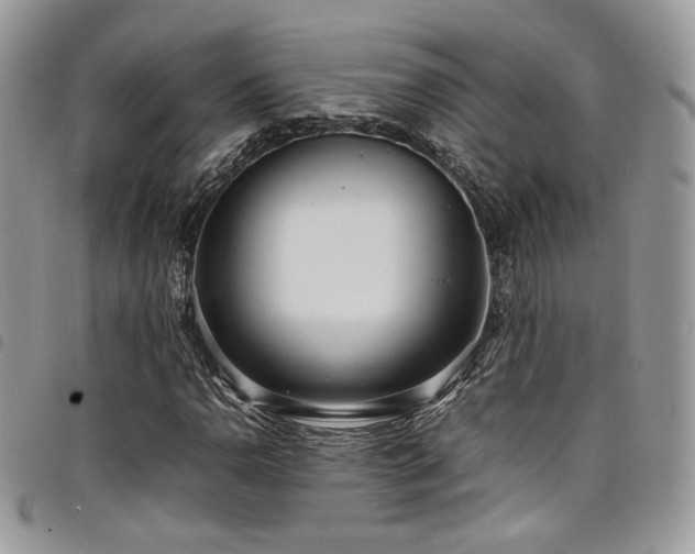 X0000098221110200804241337