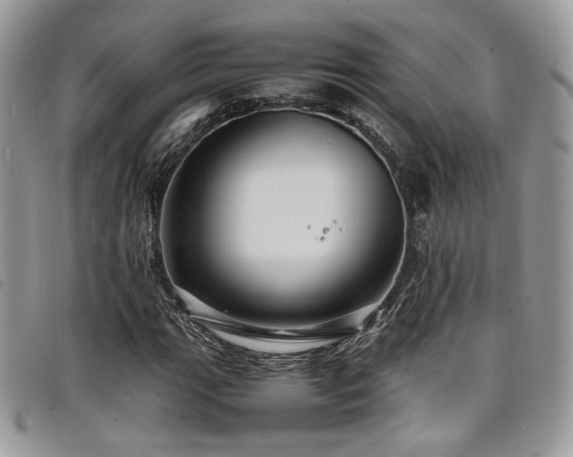 X0000098221111200804241337