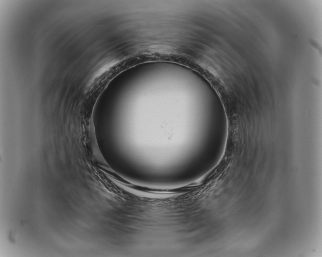 X0000098221112200804241337